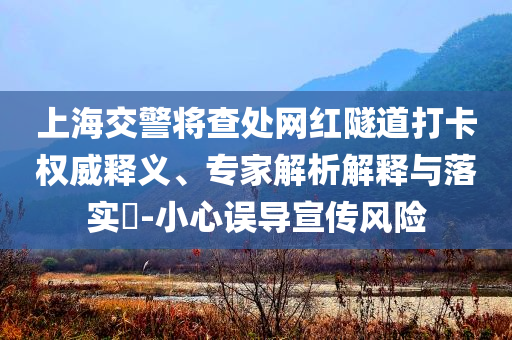 上海交警將查處網(wǎng)紅隧道打卡權(quán)威釋義、專(zhuān)家解析解釋與落實(shí)?-小心誤導(dǎo)宣傳風(fēng)險(xiǎn)