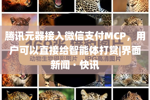 騰訊元器接入微信支付MCP，用戶可以直接給智能體打賞|界面新聞 · 快訊