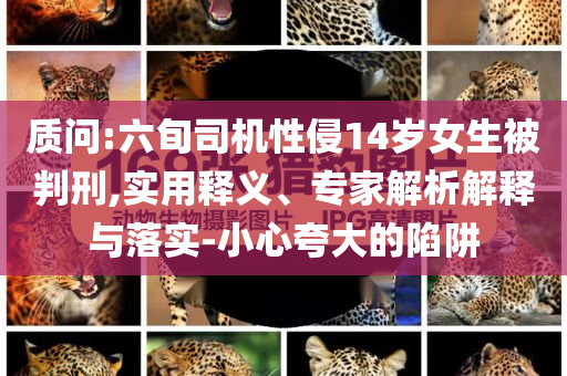 質(zhì)問:六旬司機性侵14歲女生被判刑,實用釋義、專家解析解釋與落實-小心夸大的陷阱