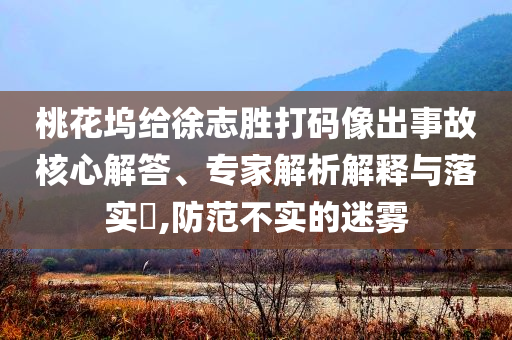 桃花塢給徐志勝打碼像出事故核心解答、專家解析解釋與落實?,防范不實的迷霧
