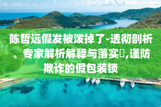 陳哲遠(yuǎn)假發(fā)被潑掉了-透徹剖析、專家解析解釋與落實(shí)?,謹(jǐn)防欺詐的假包裝鎖