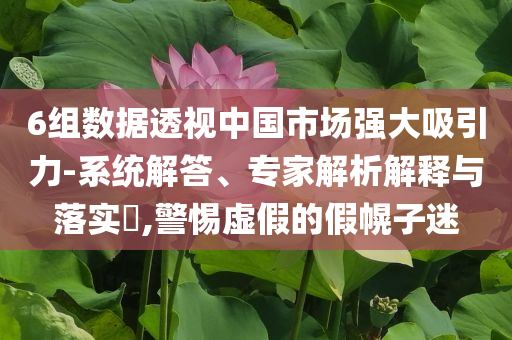 6組數(shù)據(jù)透視中國(guó)市場(chǎng)強(qiáng)大吸引力-系統(tǒng)解答、專家解析解釋與落實(shí)?,警惕虛假的假幌子迷