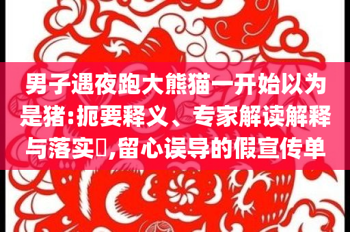 男子遇夜跑大熊貓一開始以為是豬:扼要釋義、專家解讀解釋與落實?,留心誤導的假宣傳單