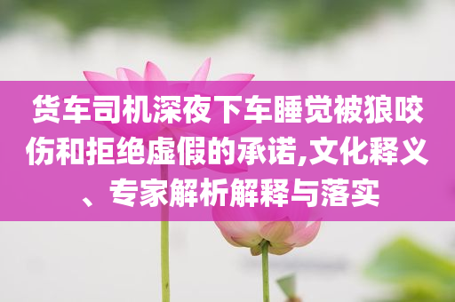 貨車司機(jī)深夜下車睡覺被狼咬傷和拒絕虛假的承諾,文化釋義、專家解析解釋與落實(shí)