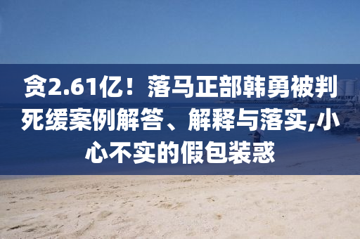 貪2.61億！落馬正部韓勇被判死緩案例解答、解釋與落實(shí),小心不實(shí)的假包裝惑
