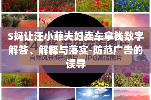 S媽讓汪小菲夫婦賣車拿錢數(shù)字解答、解釋與落實-防范廣告的誤導(dǎo)