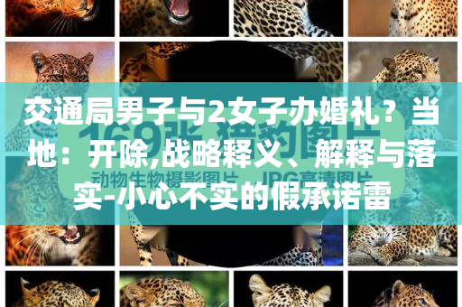 交通局男子與2女子辦婚禮？當(dāng)?shù)兀洪_除,戰(zhàn)略釋義、解釋與落實-小心不實的假承諾雷