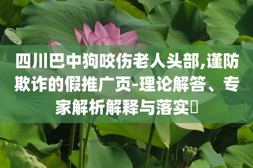 四川巴中狗咬傷老人頭部,謹(jǐn)防欺詐的假推廣頁-理論解答、專家解析解釋與落實?