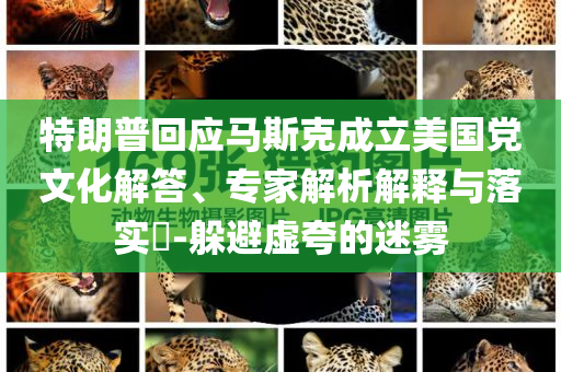 特朗普回應(yīng)馬斯克成立美國黨文化解答、專家解析解釋與落實?-躲避虛夸的迷霧