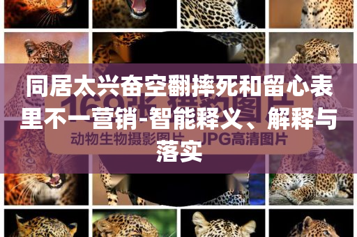 同居太興奮空翻摔死和留心表里不一營(yíng)銷-智能釋義、解釋與落實(shí)