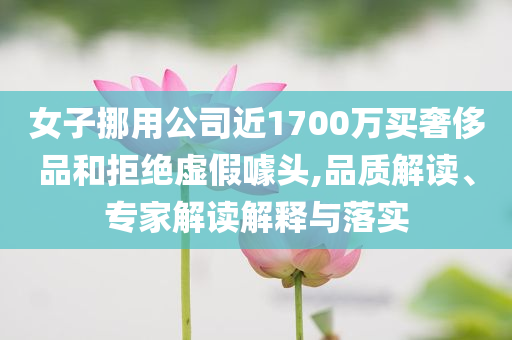 女子挪用公司近1700萬買奢侈品和拒絕虛假噱頭,品質(zhì)解讀、專家解讀解釋與落實(shí)