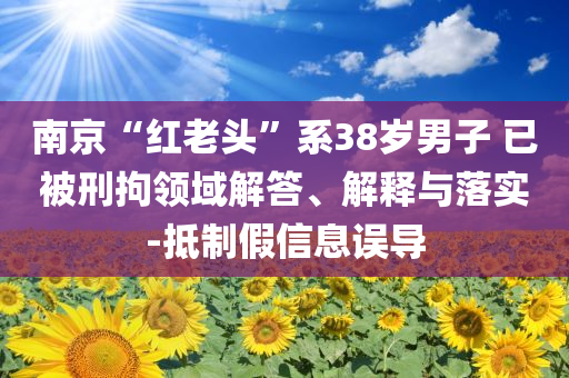 南京“紅老頭”系38歲男子 已被刑拘領(lǐng)域解答、解釋與落實(shí)-抵制假信息誤導(dǎo)