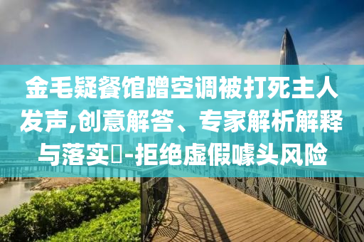 金毛疑餐館蹭空調(diào)被打死主人發(fā)聲,創(chuàng)意解答、專家解析解釋與落實?-拒絕虛假噱頭風險