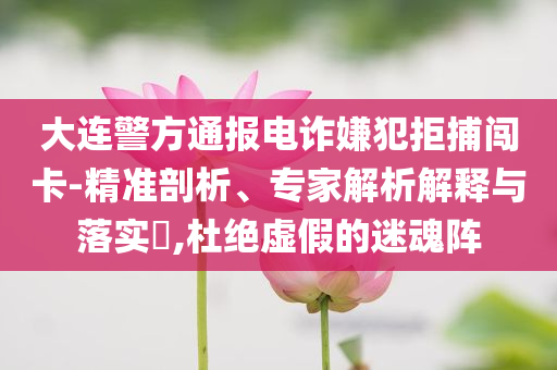 大連警方通報(bào)電詐嫌犯拒捕闖卡-精準(zhǔn)剖析、專家解析解釋與落實(shí)?,杜絕虛假的迷魂陣