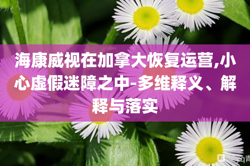 ?？低曉诩幽么蠡謴?fù)運營,小心虛假迷障之中-多維釋義、解釋與落實