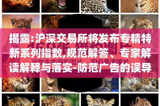 揭露:滬深交易所將發(fā)布專精特新系列指數(shù),規(guī)范解答、專家解讀解釋與落實-防范廣告的誤導