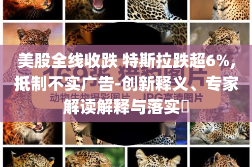 美股全線收跌 特斯拉跌超6%,抵制不實(shí)廣告-創(chuàng)新釋義、專家解讀解釋與落實(shí)?