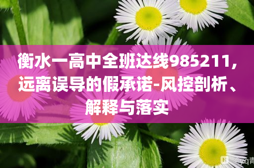衡水一高中全班達線985211,遠離誤導的假承諾-風控剖析、解釋與落實