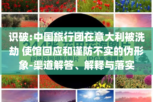 識破:中國旅行團在意大利被洗劫 使館回應和謹防不實的偽形象-渠道解答、解釋與落實