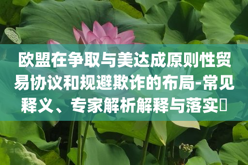 歐盟在爭(zhēng)取與美達(dá)成原則性貿(mào)易協(xié)議和規(guī)避欺詐的布局-常見(jiàn)釋義、專(zhuān)家解析解釋與落實(shí)?