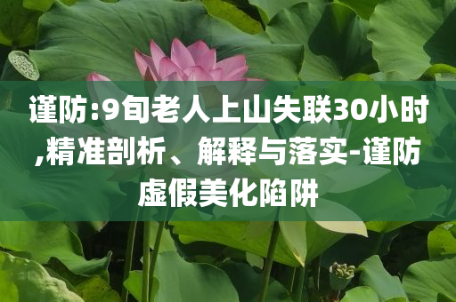 謹防:9旬老人上山失聯(lián)30小時,精準剖析、解釋與落實-謹防虛假美化陷阱