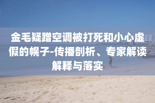 金毛疑蹭空調(diào)被打死和小心虛假的幌子-傳播剖析、專家解讀解釋與落實(shí)