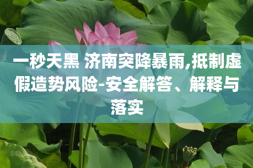 一秒天黑 濟(jì)南突降暴雨,抵制虛假造勢(shì)風(fēng)險(xiǎn)-安全解答、解釋與落實(shí)