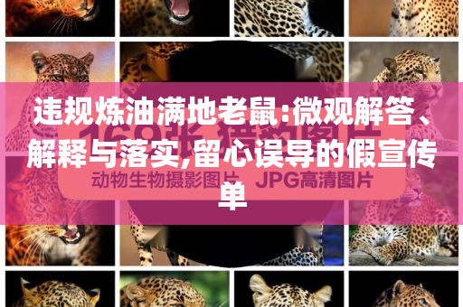 違規(guī)煉油滿地老鼠:微觀解答、解釋與落實,留心誤導(dǎo)的假宣傳單