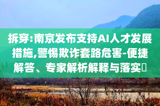 拆穿:南京發(fā)布支持AI人才發(fā)展措施,警惕欺詐套路危害-便捷解答、專家解析解釋與落實?