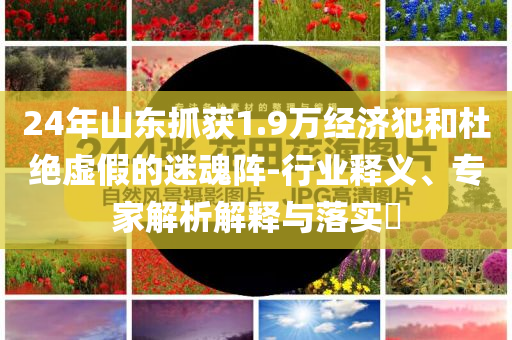 24年山東抓獲1.9萬(wàn)經(jīng)濟(jì)犯和杜絕虛假的迷魂陣-行業(yè)釋義、專家解析解釋與落實(shí)?
