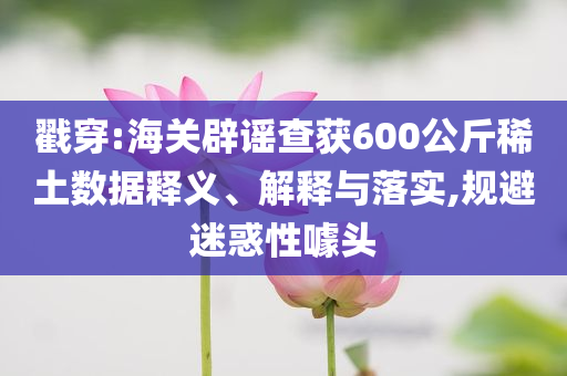戳穿:海關(guān)辟謠查獲600公斤稀土數(shù)據(jù)釋義、解釋與落實(shí),規(guī)避迷惑性噱頭