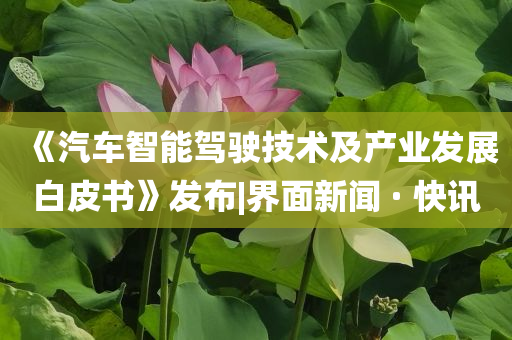 《汽車智能駕駛技術(shù)及產(chǎn)業(yè)發(fā)展白皮書》發(fā)布|界面新聞 · 快訊