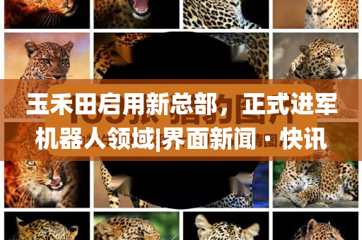玉禾田啟用新總部，正式進(jìn)軍機(jī)器人領(lǐng)域|界面新聞 · 快訊