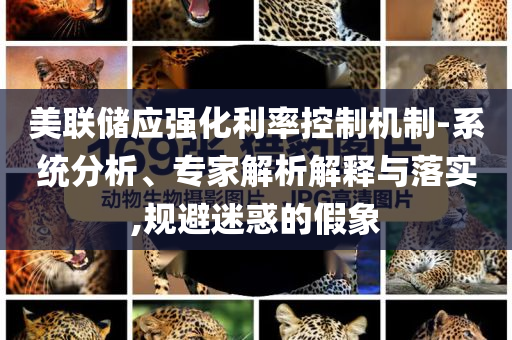美聯(lián)儲應(yīng)強(qiáng)化利率控制機(jī)制-系統(tǒng)分析、專家解析解釋與落實,規(guī)避迷惑的假象