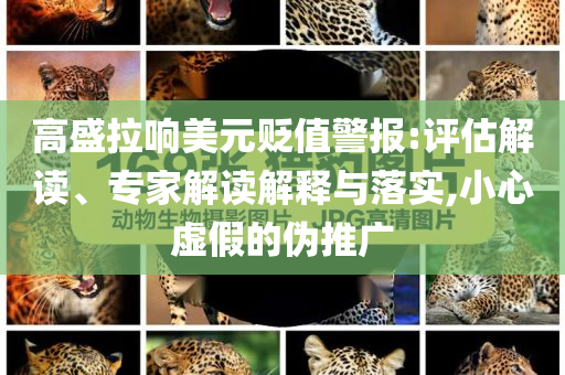 高盛拉響美元貶值警報:評估解讀、專家解讀解釋與落實,小心虛假的偽推廣