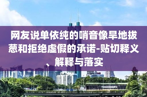 網(wǎng)友說(shuō)單依純的哨音像旱地拔蔥和拒絕虛假的承諾-貼切釋義、解釋與落實(shí)