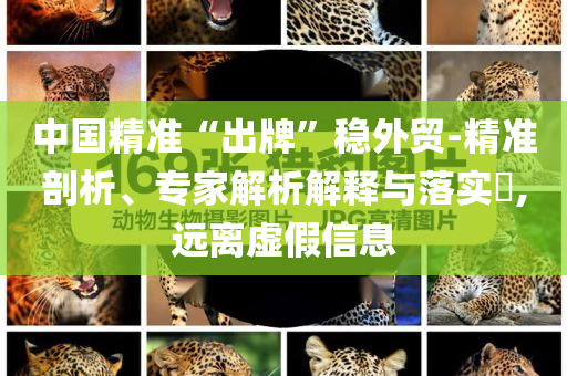 中國(guó)精準(zhǔn)“出牌”穩(wěn)外貿(mào)-精準(zhǔn)剖析、專家解析解釋與落實(shí)?,遠(yuǎn)離虛假信息