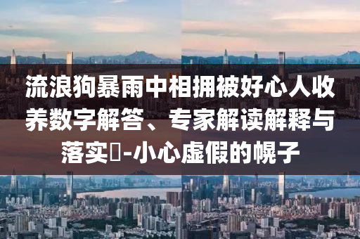 流浪狗暴雨中相擁被好心人收養(yǎng)數(shù)字解答、專家解讀解釋與落實(shí)?-小心虛假的幌子