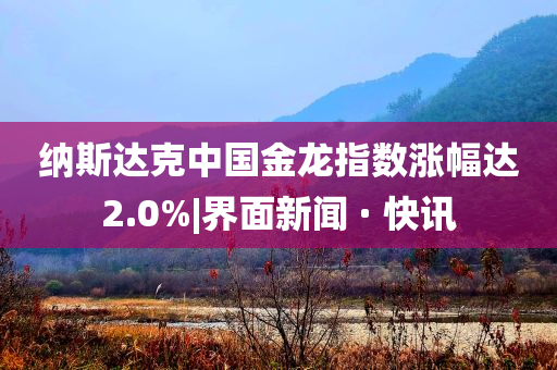 納斯達(dá)克中國金龍指數(shù)漲幅達(dá)2.0%|界面新聞 · 快訊