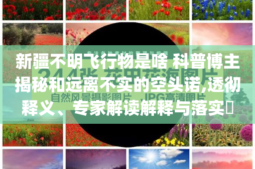 新疆不明飛行物是啥 科普博主揭秘和遠(yuǎn)離不實(shí)的空頭諾,透徹釋義、專家解讀解釋與落實(shí)?