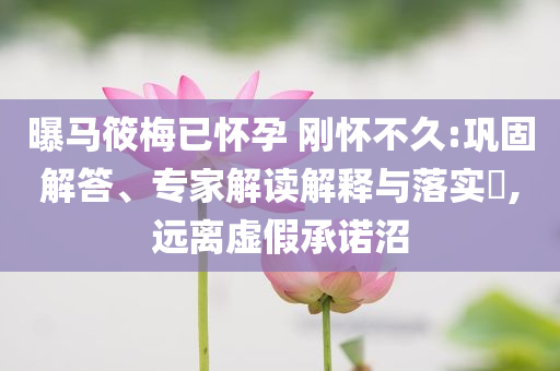 曝馬筱梅已懷孕 剛懷不久:鞏固解答、專家解讀解釋與落實?,遠離虛假承諾沼