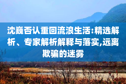 沈巍否認重回流浪生活:精選解析、專家解析解釋與落實,遠離欺騙的迷霧