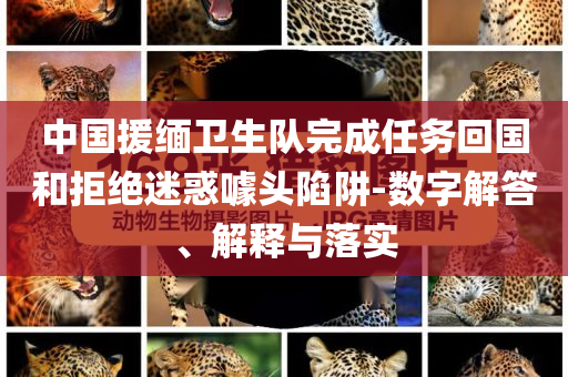 中國援緬衛(wèi)生隊完成任務回國和拒絕迷惑噱頭陷阱-數(shù)字解答、解釋與落實