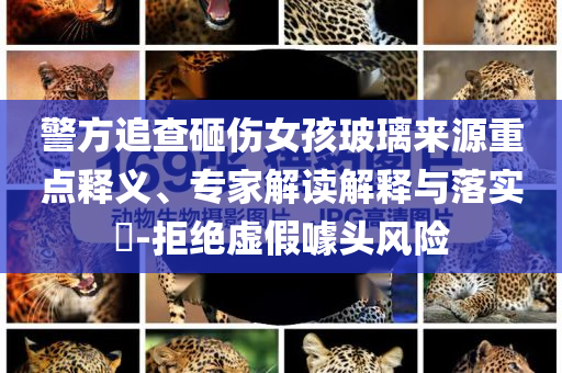 警方追查砸傷女孩玻璃來源重點釋義、專家解讀解釋與落實?-拒絕虛假噱頭風險
