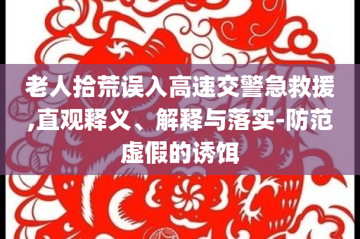 老人拾荒誤入高速交警急救援,直觀釋義、解釋與落實-防范虛假的誘餌
