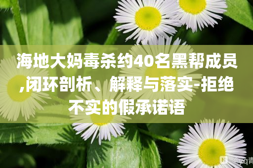 海地大媽毒殺約40名黑幫成員,閉環(huán)剖析、解釋與落實(shí)-拒絕不實(shí)的假承諾語(yǔ)