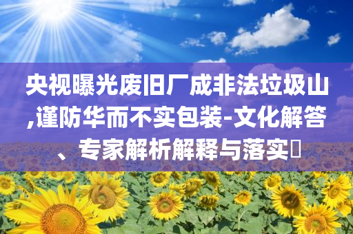 央視曝光廢舊廠成非法垃圾山,謹防華而不實包裝-文化解答、專家解析解釋與落實?