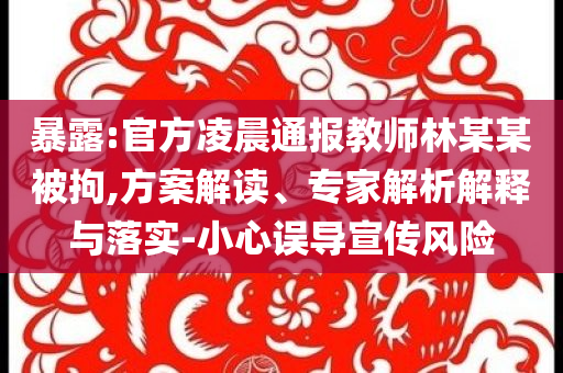 暴露:官方凌晨通報(bào)教師林某某被拘,方案解讀、專家解析解釋與落實(shí)-小心誤導(dǎo)宣傳風(fēng)險