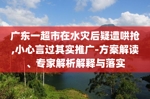 廣東一超市在水災后疑遭哄搶,小心言過其實推廣-方案解讀、專家解析解釋與落實
