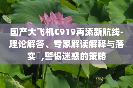 國產(chǎn)大飛機(jī)C919再添新航線-理論解答、專家解讀解釋與落實(shí)?,警惕迷惑的策略